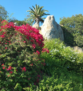 Massive Rock Outcropping with Palm Tree and Bushes
